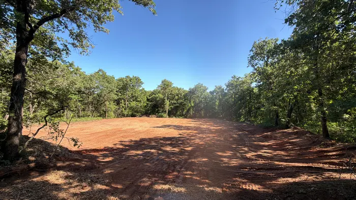 Cleared woodland pad framed by oak canopy